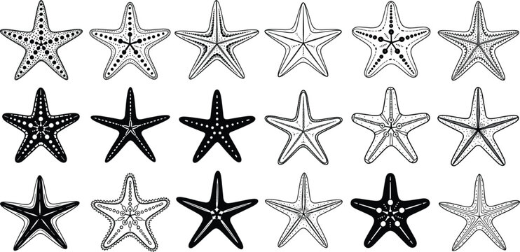 Detailed starfish vector collection featuring various sea star silhouettes and intricate line art illustrations isolated on white background for coastal marine life design.