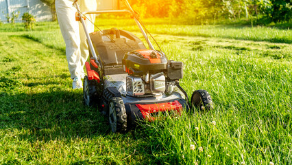 Obraz premium woman with lawn mower in garden plot