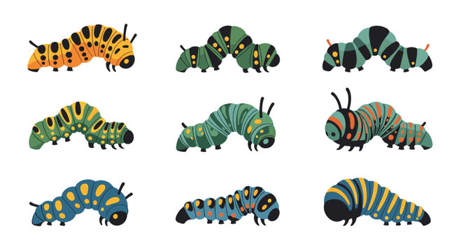 Collection of nine diverse caterpillar illustrations featuring various colors, patterns, and shapes on a white background for educational use.