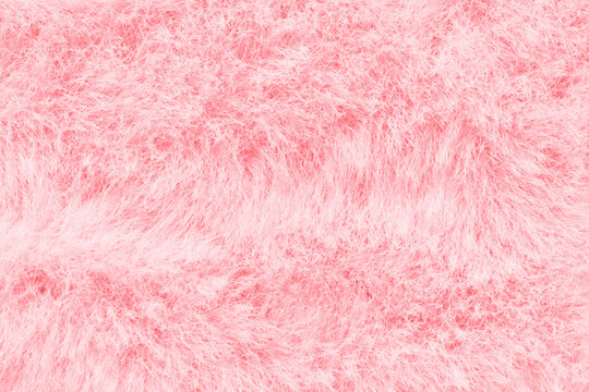 Soft pink fluffy texture background with abstract furry surface for cozy and warmth concepts.