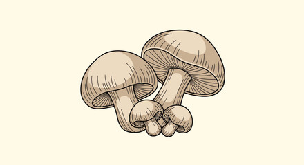 Detailed hand drawn sketch of organic edible mushrooms with textured caps and stems presented on a warm cream background.