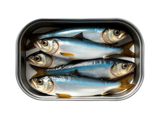 Fototapeta premium A tin container filled with fish sits on a table, perfect for food or decoration