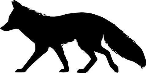 Obraz premium Wild Fox Silhouette Isolated on White Background
