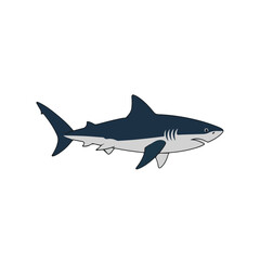 Obraz premium Great White Shark Swimming in Ocean