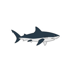 Obraz premium Shark Swimming in Open Ocean