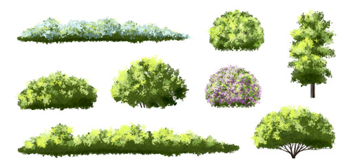 Obraz premium Vector watercolor of blooming tree top view isolated on white background for landscape plan and architecture drawing, elements for environment and garden,botanical elements ,blooming flower in spring