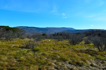 Obraz premium Meadow with deciduous bushes and a mountain range in Čičarija, Primorska, Slovenia