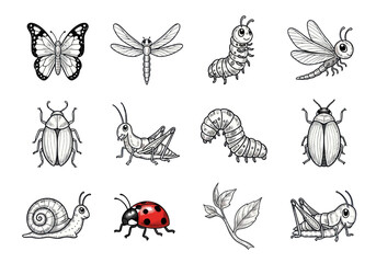 Hand-drawn black and white insect illustrations including butterfly, dragonfly, beetle, grasshopper, snail, and color ladybug on white background