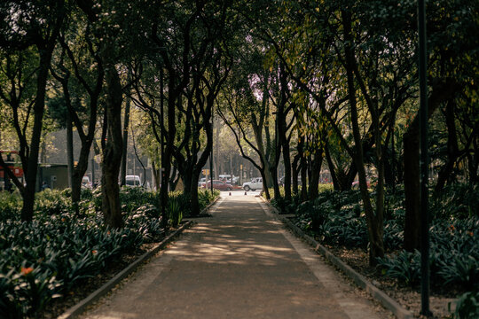 Fotograf&iacute;a callejera y de viaje.
