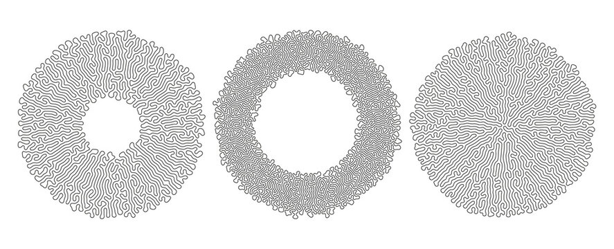 Set of Vector Circular Abstract Reaction Diffusion Line Patterns.