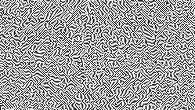 Seamless Vector Turing Pattern. Black and White Reaction Diffusion Line Texture.