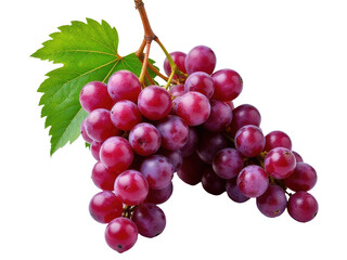 Fototapeta premium Fresh grapes growing on a branch, ideal for food or decoration