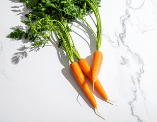 Organic carrots on marble background