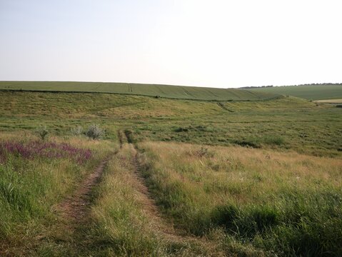 Rural landscape with a dirt path through green fieds and meadow hills under a clear sky. Natural countryside scenery, summer nature background with copy space, concept of journey, freedom, choice and 