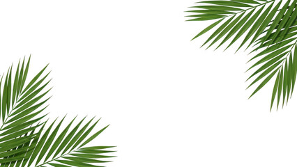 Vibrant green palm leaves elegantly framing a dark background, perfect for tropical designs © Towheda