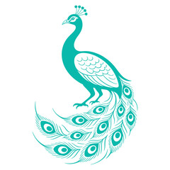 Fototapeta premium Elegant teal peacock illustration