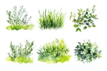 Obraz premium Creative design of green bushes and shrubs in garden scene with watercolor style on white background for illustration purposes