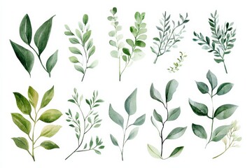 Hand drawn watercolor green leaves and branches collection for crafts and creative projects