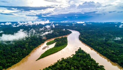 Aerial view of a wide, muddy river winding through a dense, emerald green forest under a cloudy sky