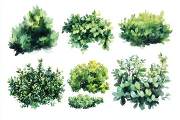 Obraz premium Collection of watercolor shrub designs for garden landscapes featuring various plant shapes and greenery types