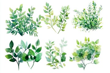 Collection of watercolor shrubbery designs for garden and landscape projects with various greenery elements