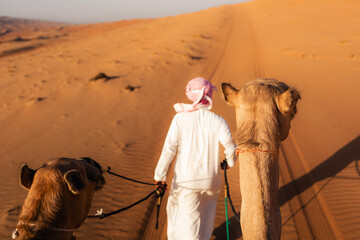 Bedouin leading camels through Wahiba Sands desert in Oman with selective focus on camel head. Desert landscape, travel experience, and cultural tourism in Middle East.