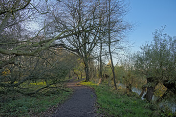 Obraz premium Hiking trail along colorful autumn trees and shrubs in the marsh of Bourgoyen nature reserve, Ghent, Flanders, Belgium