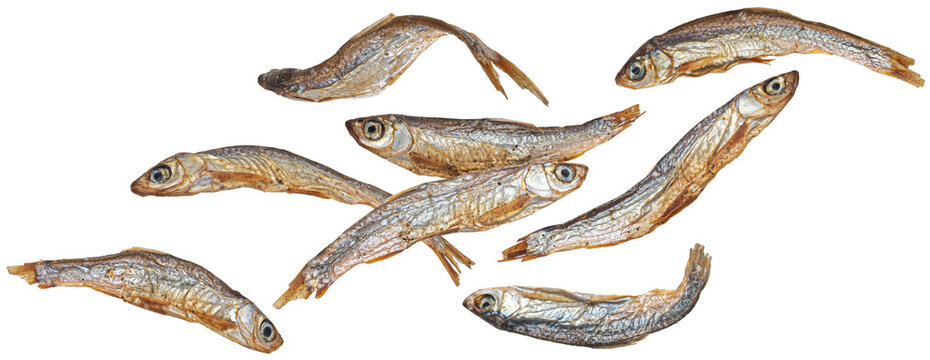 Falling small dried fish isolated on white background, salty anchovy, full depth of field