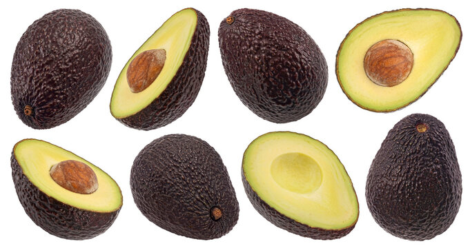 Hass avocado isolated on white background, full depth of field