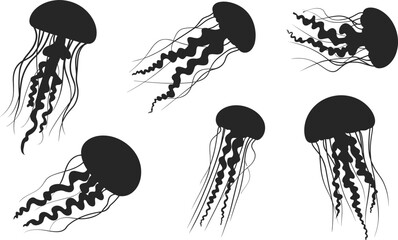 Jellyfish silhouette set, marine sea creature collection, ocean wildlife animal poses, underwater vector illustration, black shapes, isolated on white background © MdShafe