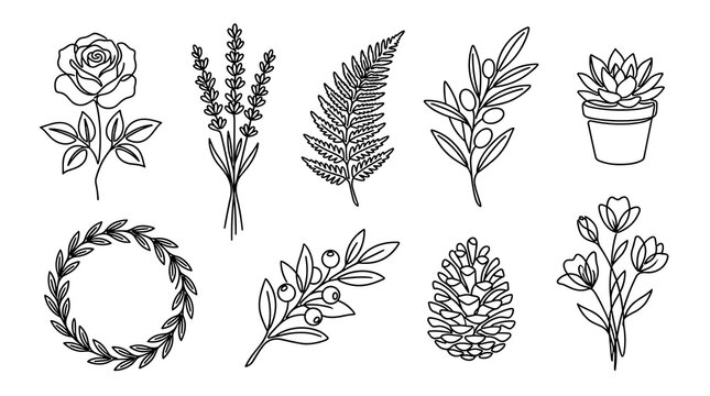 A set of simple black and white botanical line drawings including a rose lavender fern olive branch succulent wreath berry branch pinecone and floral bouquet