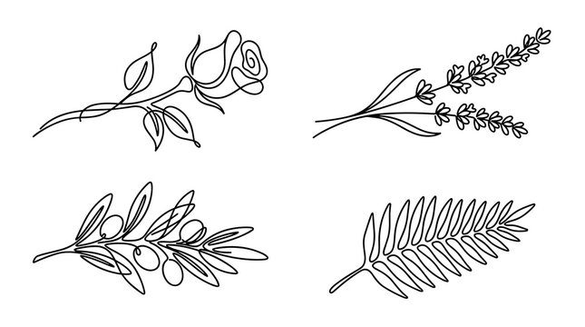 A collection of four elegant botanical illustrations drawn in a single continuous line style including a rose bud lavender sprig olive branch and tropical fern