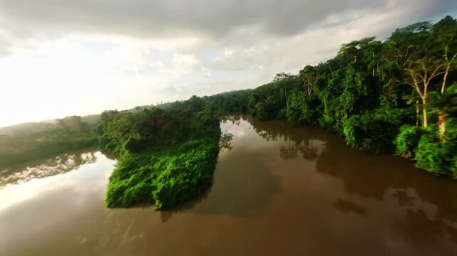 Sunrise drone fight deep in the Amazon rainforest 