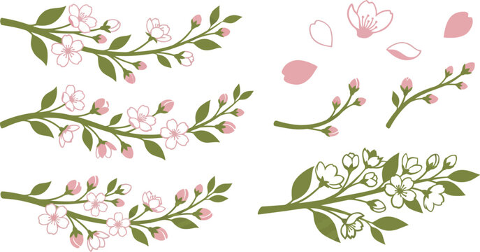 Breeze-swept cherry blossom botanical elements flat vector pack with white soft rose moss green trailing branches blossoms leaves horizontal wind scattered petals varying sizes emerging buds flowering
