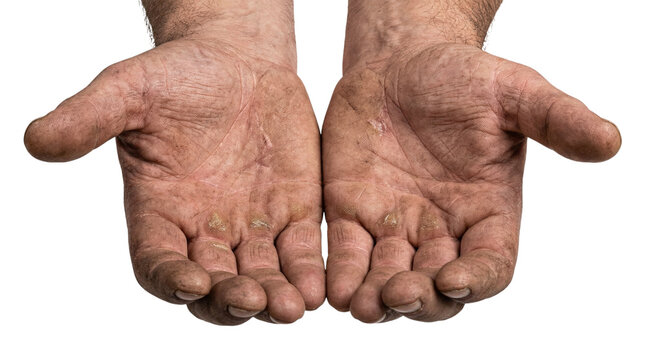 Dirty rough worker hands with open palms facing up isolated on transparent background.