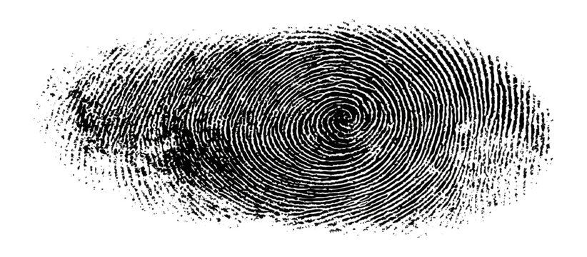 Grunge fingerprint texture background. vector ink splatters distressed brush stroke overlay. crime investigation fingerprint art print featuring damaged marks.