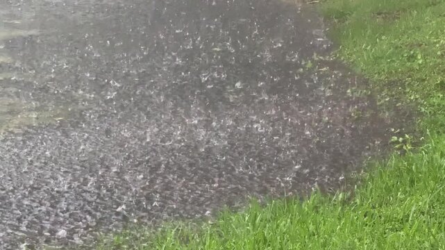 Strong raindrops hit a shallow flood and create big splashes near the grass line. The water surface is full of ripples from the storm.