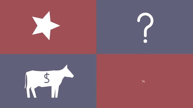 Growth Share Matrix or Product Portfolio Matrix - Animation Illustration as MP4 file