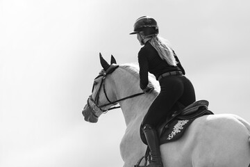 Fototapeta premium Black and white equestrian rider on white horse seen from behind with copy space