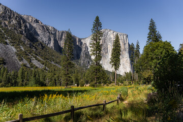 El Capitan view from the road