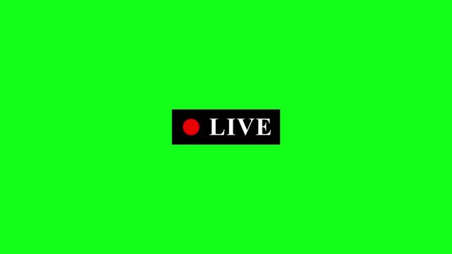 simple live streaming icon animation with transparent background, red button live streaming animation symbol