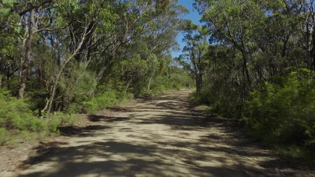 Drone aerial footage flying forwards on Kedumba Valley Road located in a large forest near Jamison Valley in the Blue Mountains in New South Wales, Australia.