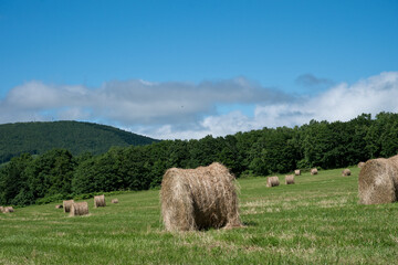 麦稈ロール,バッカンロール