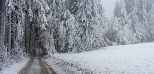 Strasse in den Winterwald
