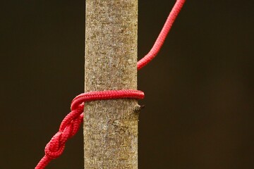 Czerwona lina odwiązana na drewnianym kołku. © Pawel Zabczyk