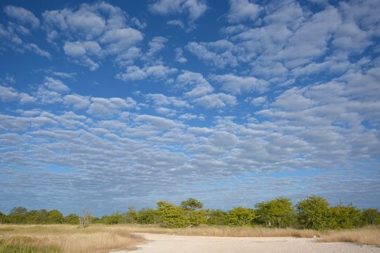 Wolkenstimmung im Etoscha Nationalpark in Namibia
