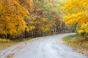 Obraz premium 63895-16017 Road & Fall Color at Stephen A. Forbes State Park Marion Co. IL