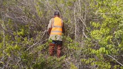 Fototapeta premium Man In Safety Vest Amidst Dense Vegetation