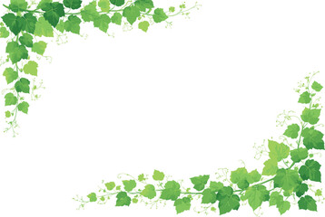 Botanical Greenery Frame with Ivy, Lianas and Decorative Leaf Arch © Ярослав Дацко