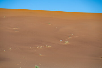 A Gemsbok (Oryx gazella) walking far away on a large dune leaving a trail of footprints in the sand near Dead Vlei, Namib Desert, Namibia